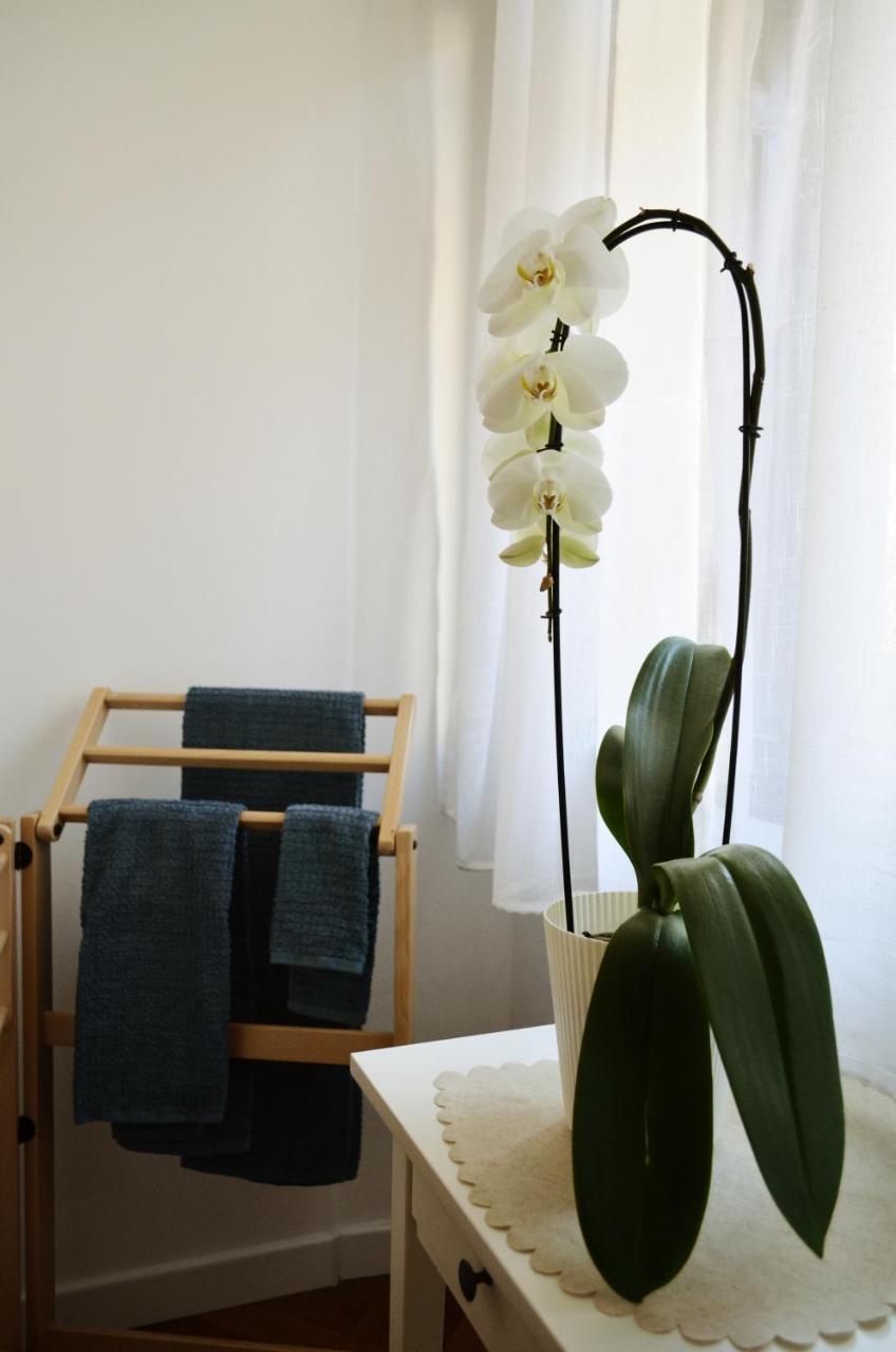 Punto8 Bed & Breakfast Trieste Luaran gambar